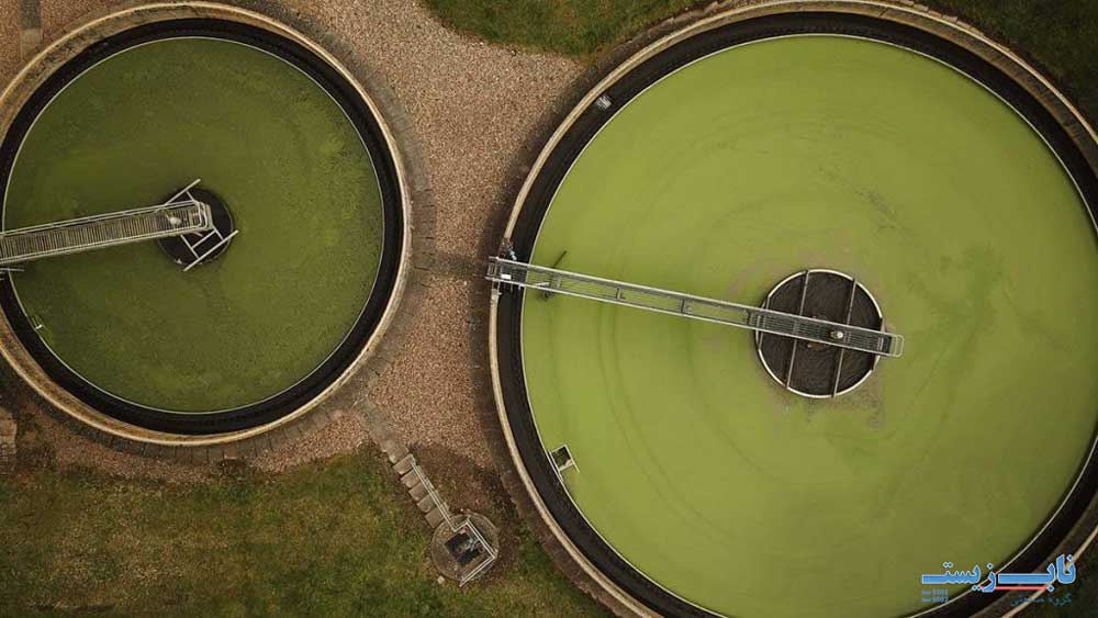 تأثیرات رشد جلبک بر کیفیت منابع آب