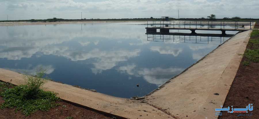 برکه تثبیت فاضلاب برکه تثبیت فاضلاب