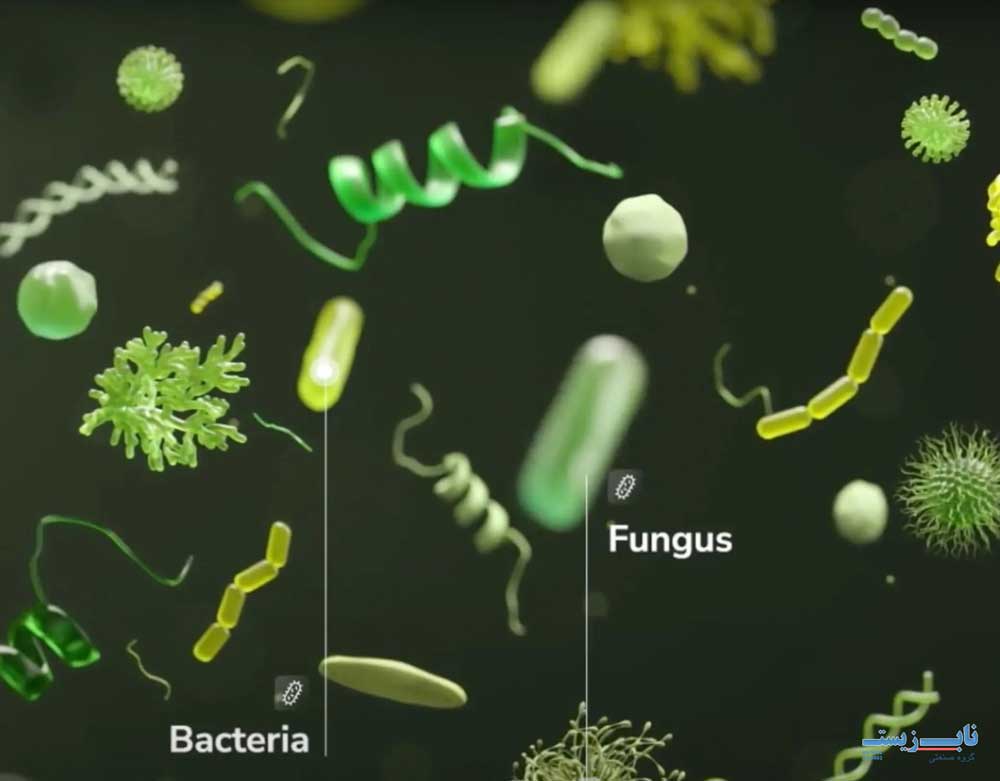 مزایای استفاده از میکروارگانیسم ها