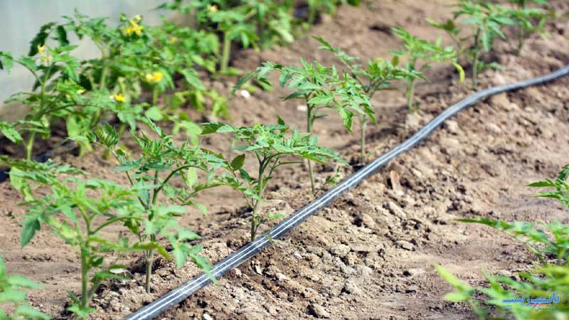 مزایای استفاده از نوار تیپ